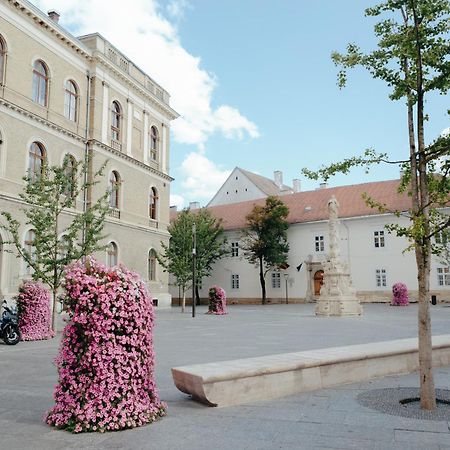 Bethlen Central Studio Cluj-Napoca Luaran gambar