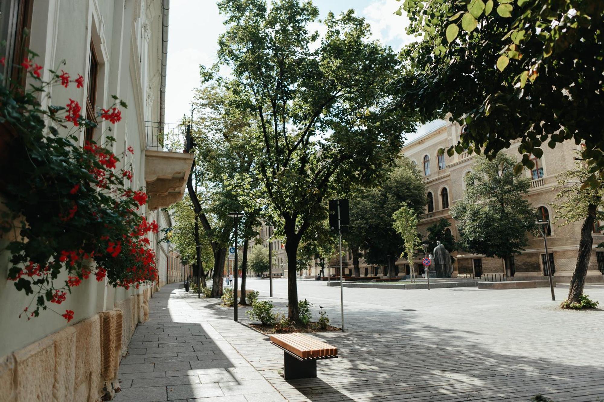 Bethlen Central Studio Cluj-Napoca Luaran gambar